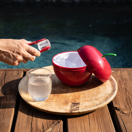 ② Tupperware Boite à glaçons vintage — Cuisine