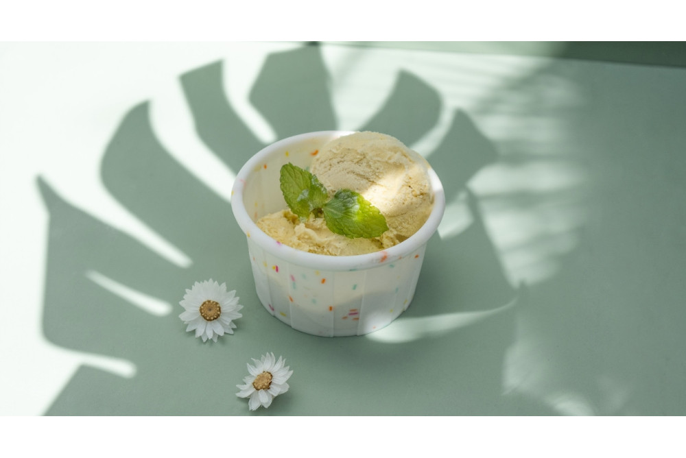 Moules à Glaces Maison Originaux – Cécoa
