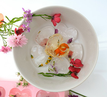 Des glaçons décoratifs fleuris ou fruités avec  la collection « Les mini »